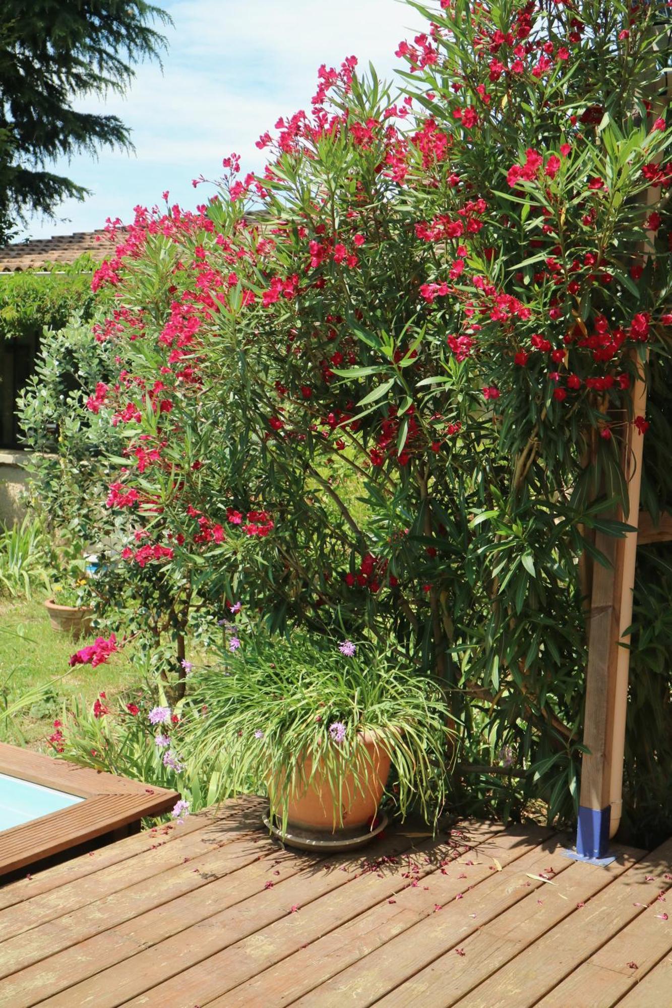 Un Temps Pour Le Reve Bed & Breakfast Valence  Luaran gambar